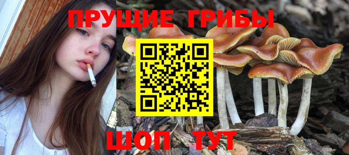 Оренбург  Галлюциногенные грибы мухоморы  Вход с VPN 